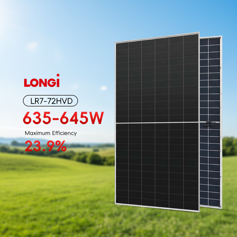 Tier 1 Longi 635W 640W 645W N Type Monocrystalline Solar Panel Dual Glass Bifacial PV Modules for Solar System